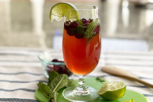 a cranberry lime mint spritzer